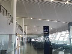-合肥新桥国际机场-航站楼