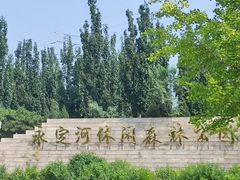 -永定河休闲森林公园