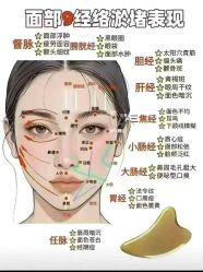 -YESIDO椰岛美容