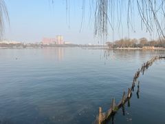 -济南大明湖景区
