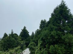 -南岳衡山风景名胜区