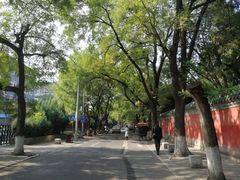 -北京国子监胡同