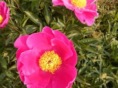 -龙湖东院农庄(乡间小路店)