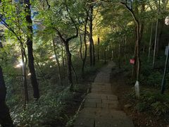 -九曜山