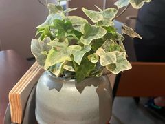 -La Medina餐厅(亮马河南路店)