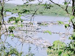 -仙海旅游度假区