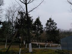 -白鹭湾湿地公园