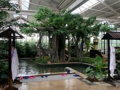 -太白山御龙湾温泉