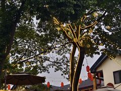 -三圣花乡旅游区