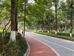-龙头寺公园