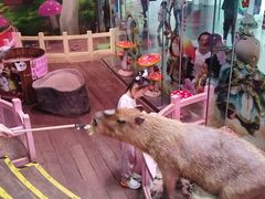 -正佳雨林生态植物园