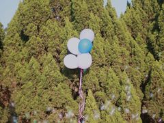 -南沙蒲洲花园