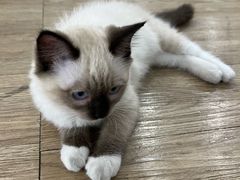 -iF摄影•全家福•证件照•形象照(南山店)