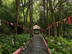 -黄山翡翠谷景区