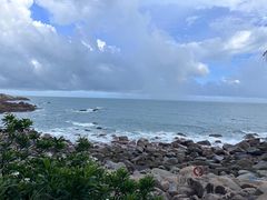 -广东惠东海龟国家级自然保护区
