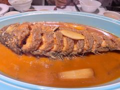 -阿五黄河大鲤鱼(纬三路店)