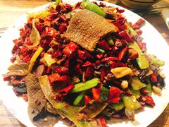 -福苗小骆驼烧烤(大唐不夜城店)