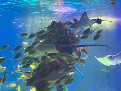 -常州海昌海洋探索馆