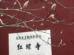 -红螺寺