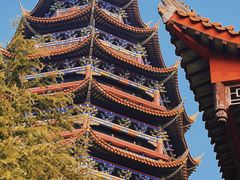 -铁山坪森林公园