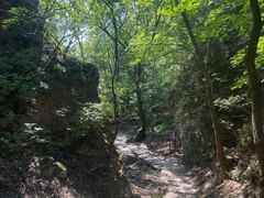 -玉渡山自然风景区