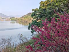 -福建鲤鱼洲酒店