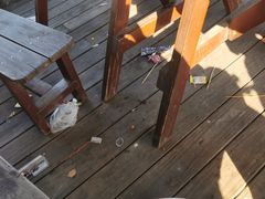 -上海月湖雕塑公园