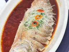 -百盛·鼎膳(中海财富中心)