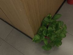 -耳湾躺式采耳SPA馆(保利五月花店)