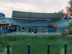 -西安秦岭野生动物园