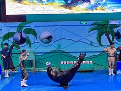 -石家庄市动物园