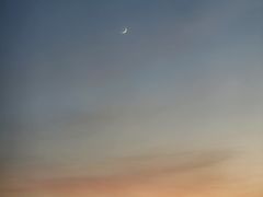 -首都医科大学附属北京地坛医院