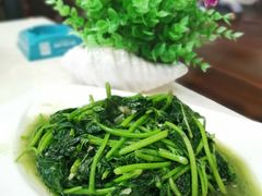 清炒地瓜叶-鑫悦楼煎蟹·16年海鲜大排档