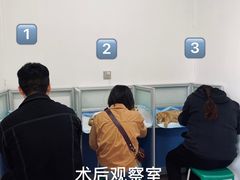-灵美宠物诊所