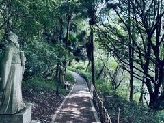 -水濂山森林公园