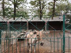 -保定市动物园