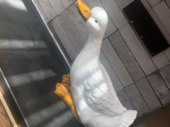 -四季民福烤鸭店(前门店)