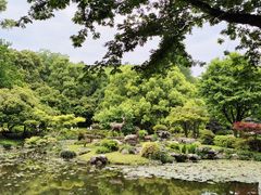 -杭州植物园
