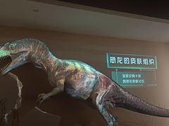 -自贡恐龙博物馆