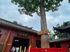 -黔灵山公园