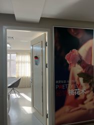-石家庄苏亚美联臣医疗美容医院