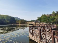 -大湾区中央湿地公园