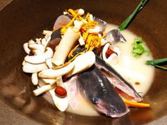 招牌原味锅-咕嘟草帽鱼·牛奶一样的鲜鱼汤(天鹅湖万达广场店)