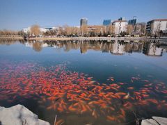 -西海子公园