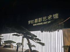 -罗红摄影艺术馆