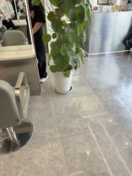 -京世沙龙
