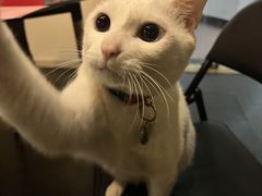 -Doors独立剧情密室(东门分店)