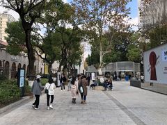 -Seesaw Coffee(上生新所店)