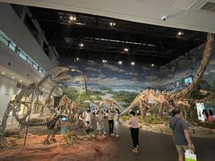 -自贡恐龙博物馆