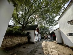 -西溪国家湿地公园